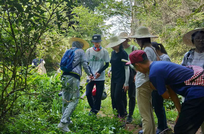 同学们在虎伯寮保护区乐土片区实习.jpg
